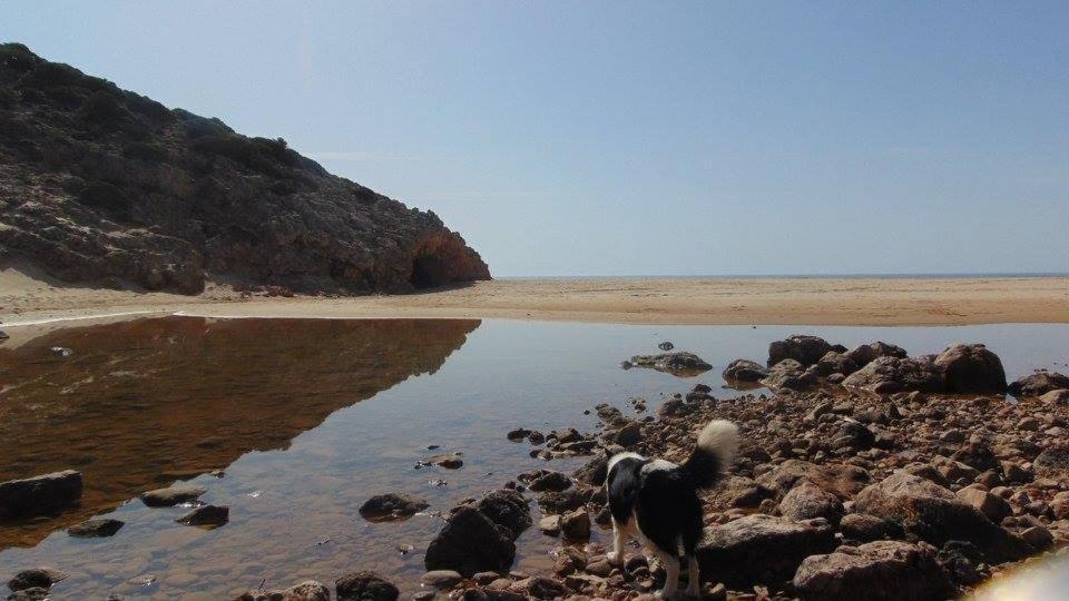 Casa Mestre Vila do Bispo Esterno foto